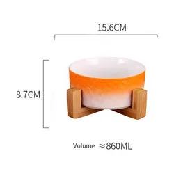 PAWS ASIA Amazon New High Quality Luxury Modern Elevated Designed Unique Ceramic Cat Bowl Dog With Wood Stand