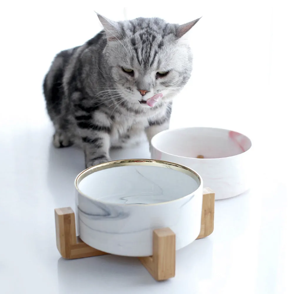 PAWS ASIA Manufacturers Luxury Elevated Pink Eco Dog Bowl With Wood Stand