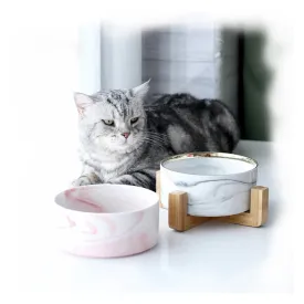PAWS ASIA Manufacturers Luxury Elevated Pink Eco Dog Bowl With Wood Stand