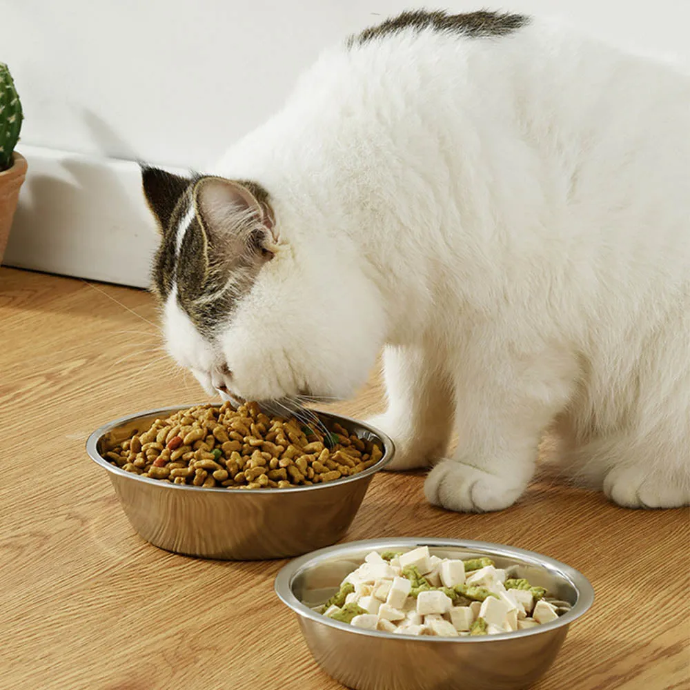 PAWS ASIA Suppliers Hot Sale High Quality Portable Travel Stainless Steel Feeding Big Dog Bowl Cat Pet Feeder