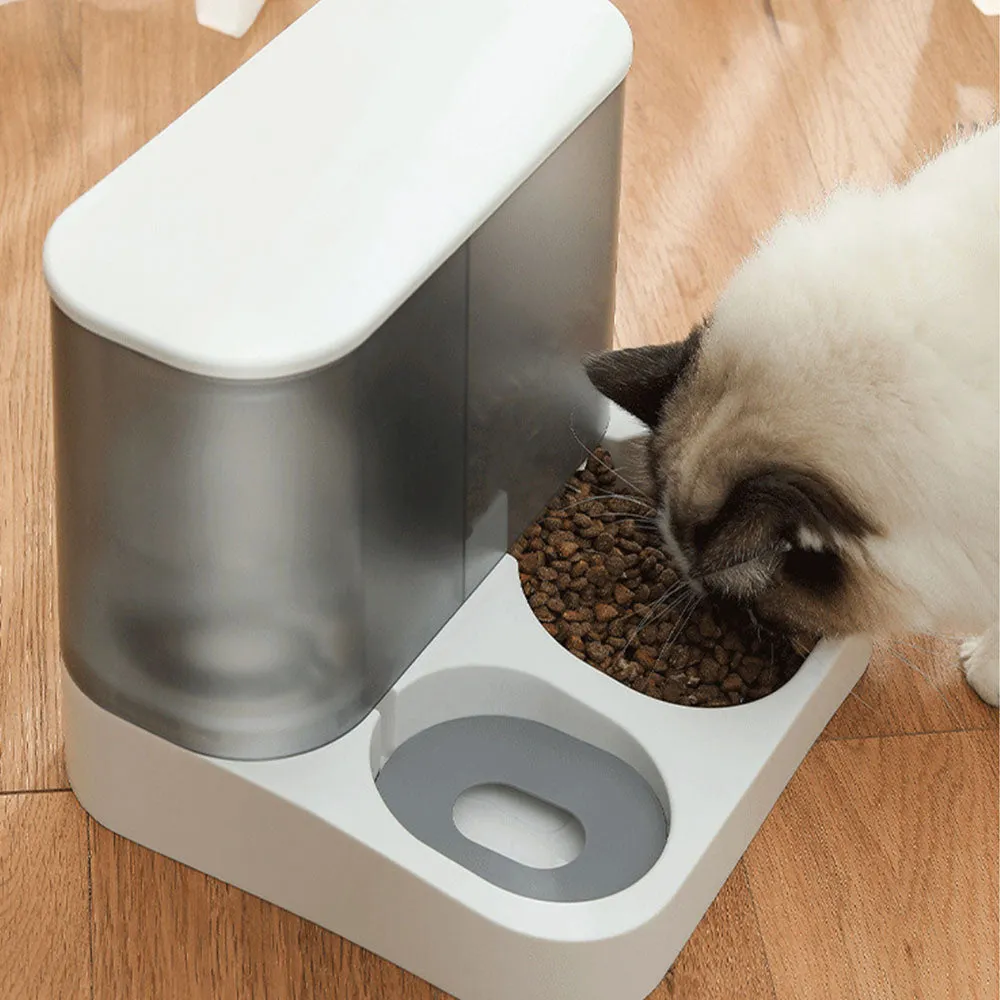 PAWS ASIA Suppliers New Storage Food Water Container Automatic Feeder Transparent Dog Bowl Cat