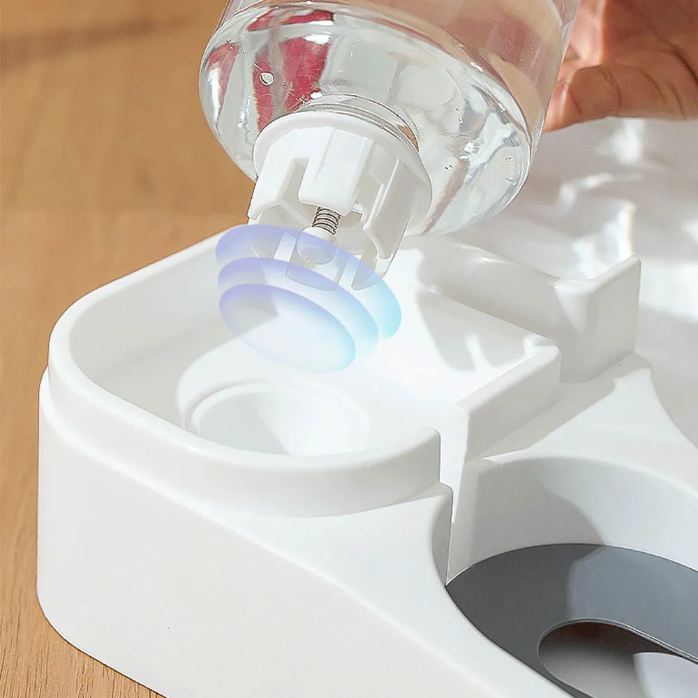 PAWS ASIA Suppliers New Storage Food Water Container Automatic Feeder Transparent Dog Bowl Cat