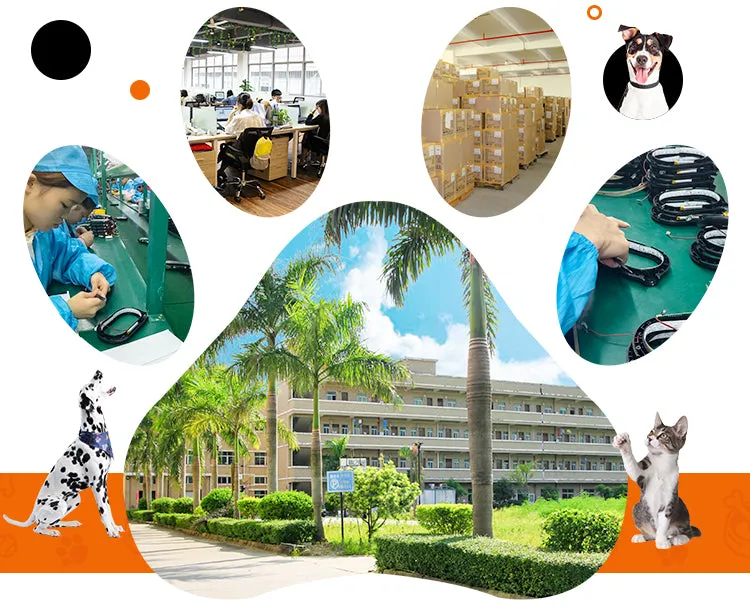 PAWS ASIA Suppliers Personalised PP Material And Stainless Steel Food And Water Pet Bowl