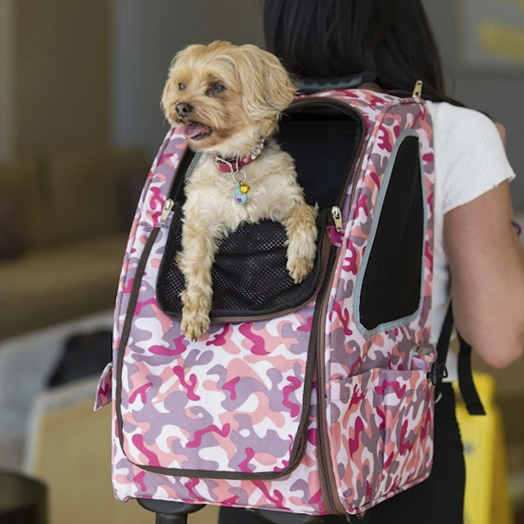 Pepper 5-in-1 Pet Stroller - Complete Travel System