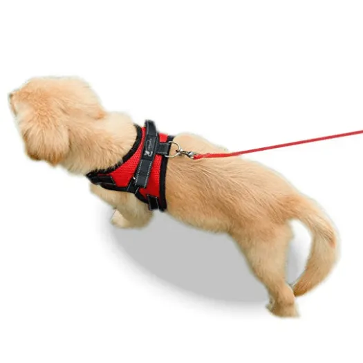 Pet Vest Dog Harness