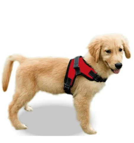 Pet Vest Dog Harness