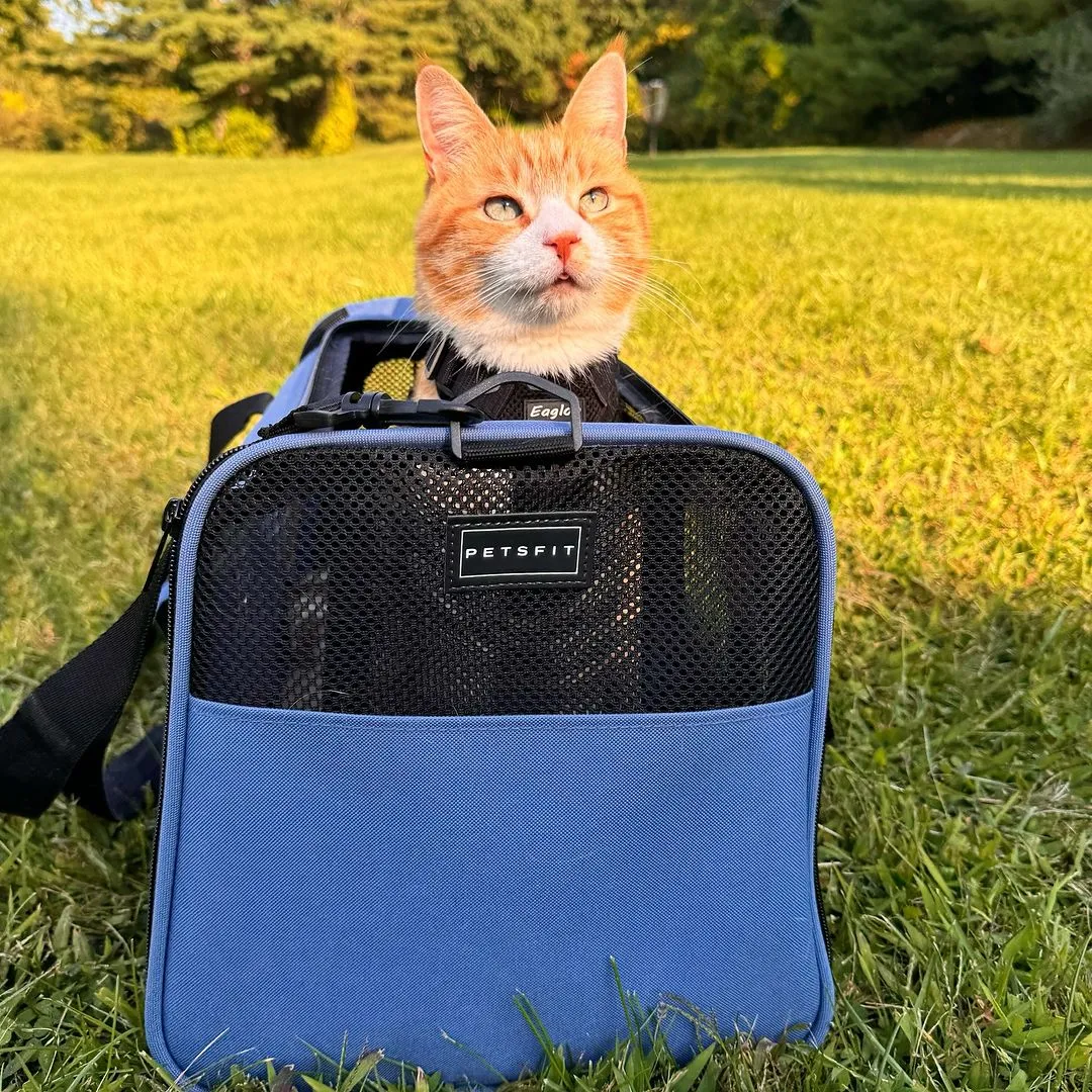 PETSFIT backpack pet carrier airline