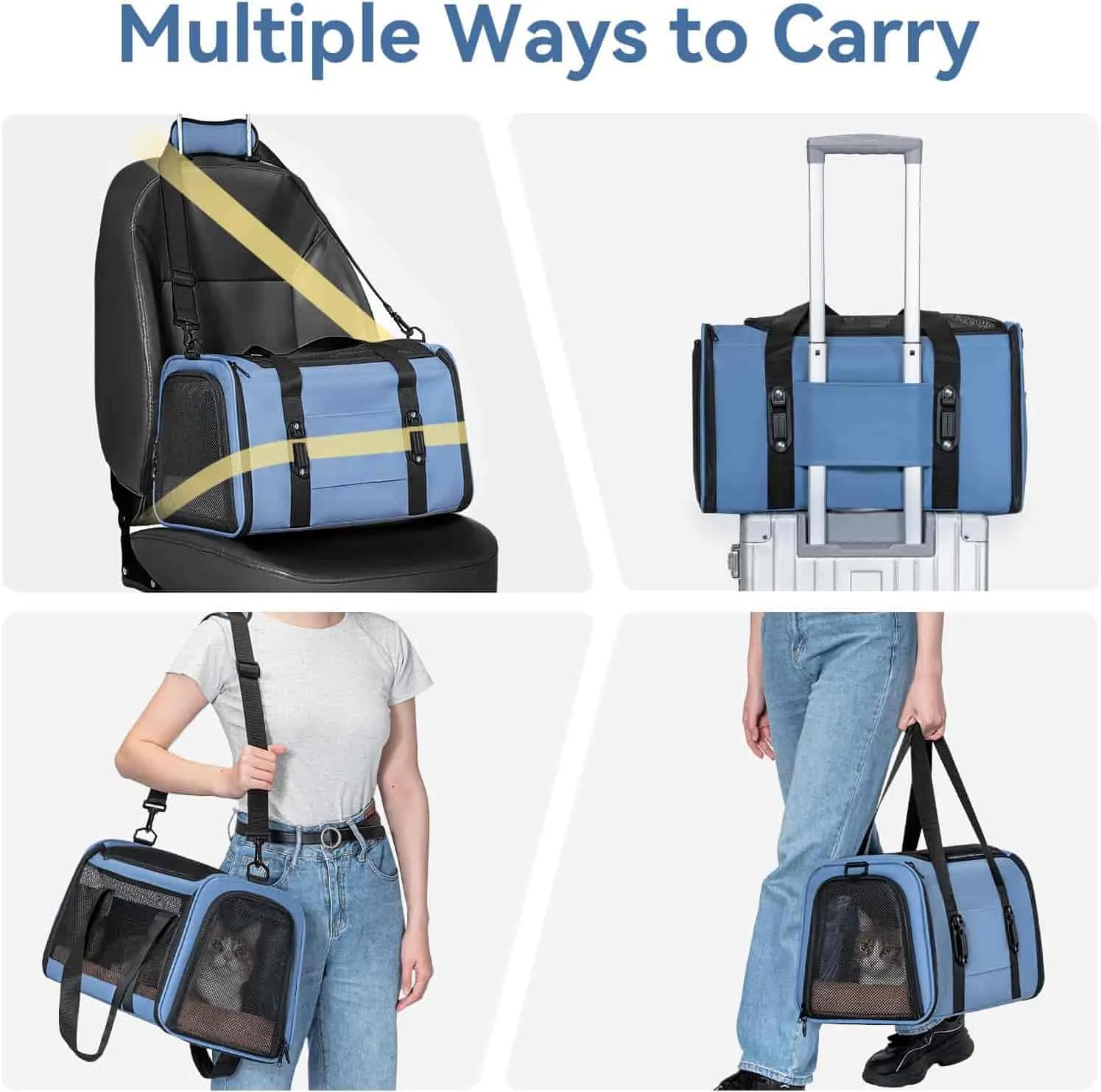PETSFIT backpack pet carrier airline
