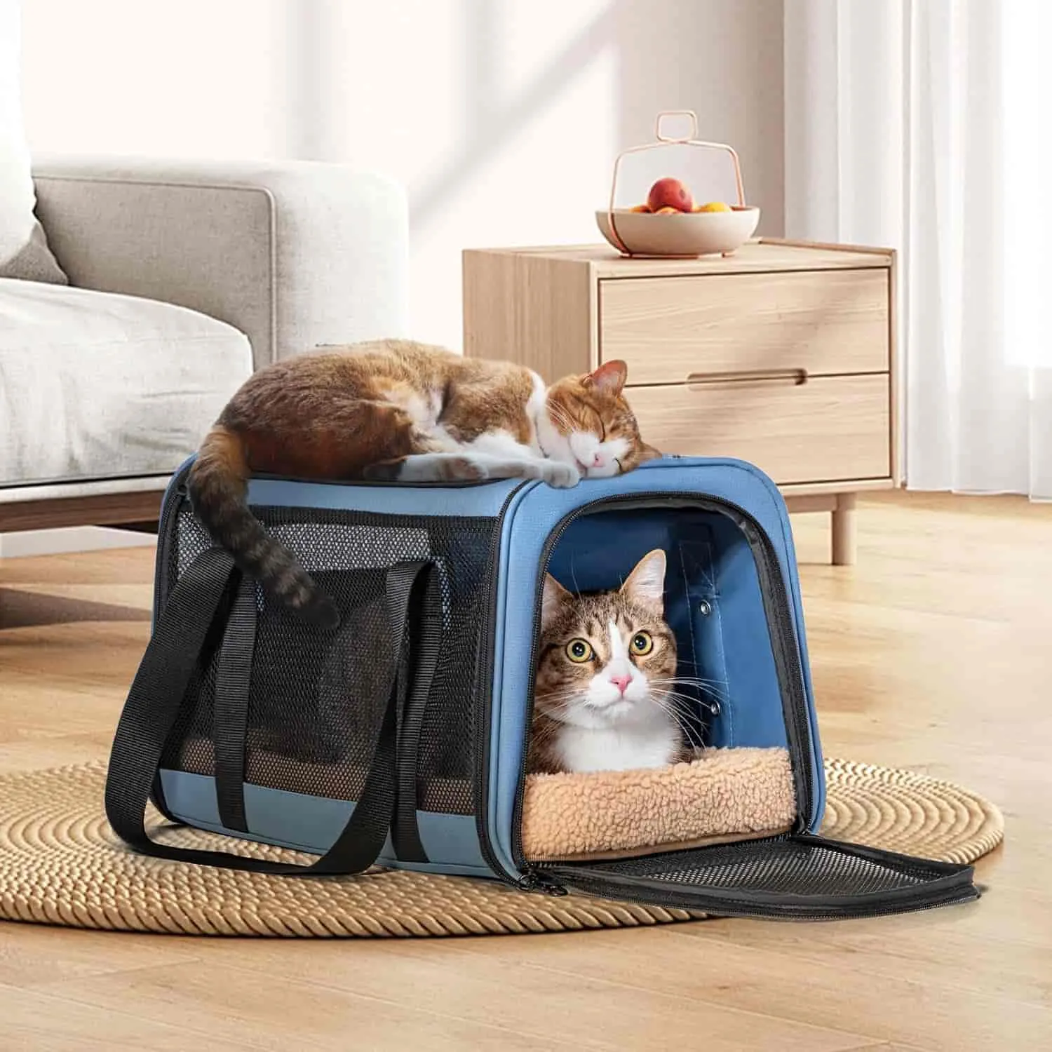 PETSFIT backpack pet carrier airline