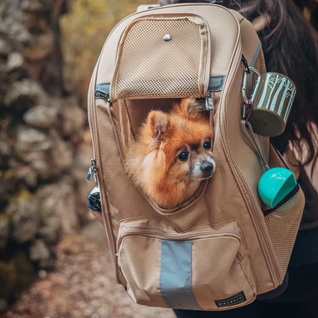 PETSFIT Dog Biking Backpack