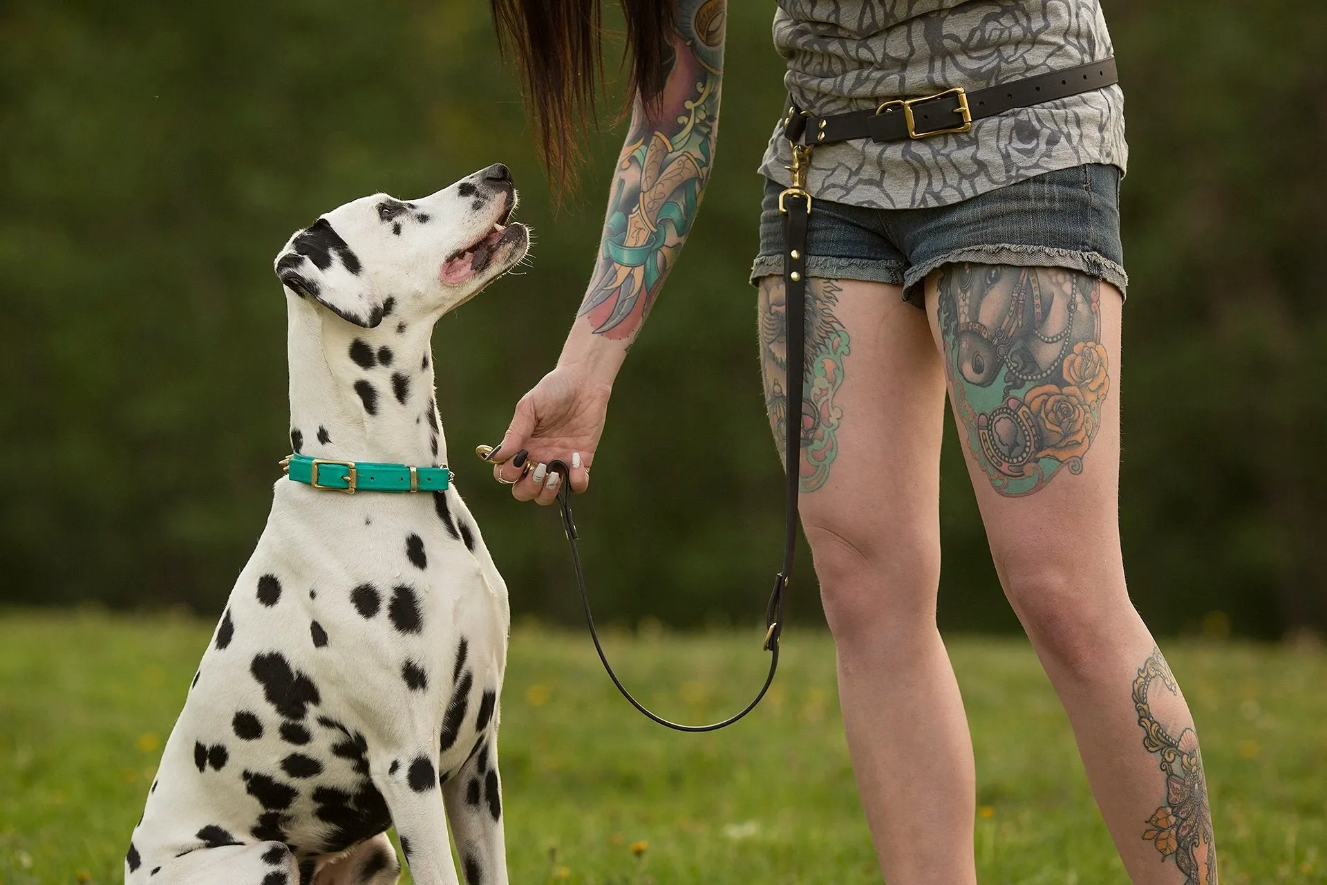 PREMADE COLLECTION - Burgundy Wine & Brass Convertible Biothane Hands-Free Waist Leash