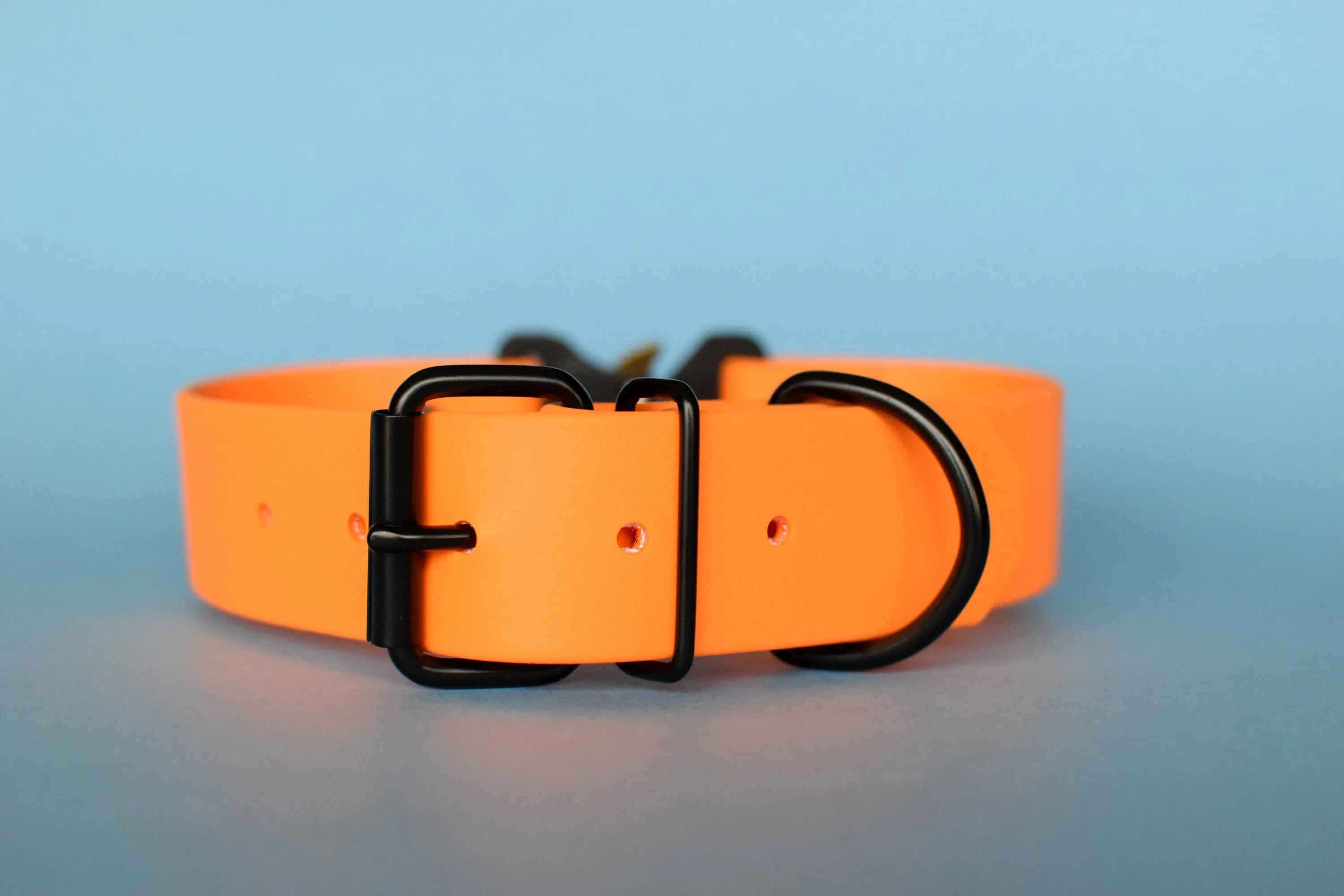 PREMADE COLLECTION - Mango & Black Biothane Dog Collar