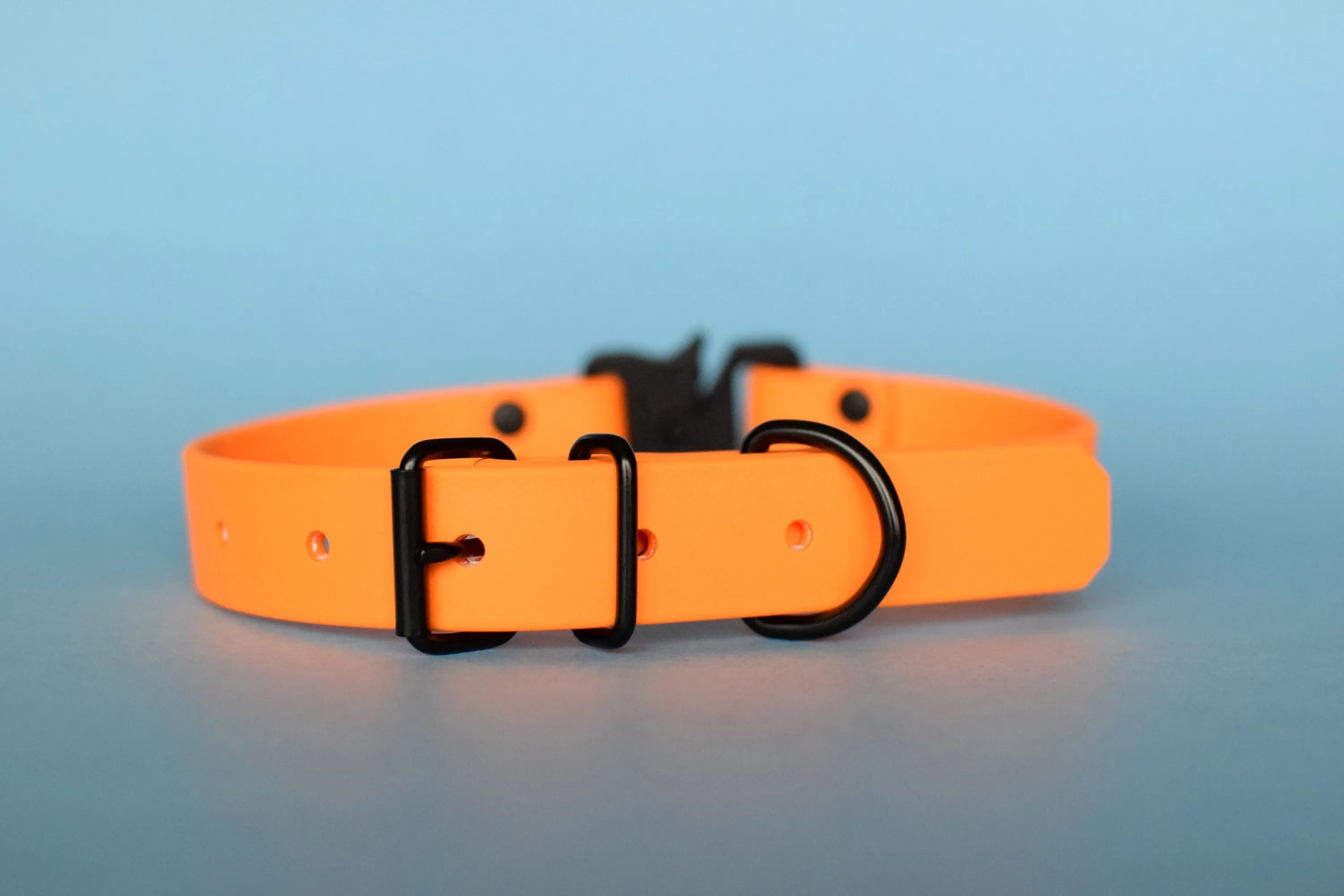PREMADE COLLECTION - Mango & Black Biothane Dog Collar