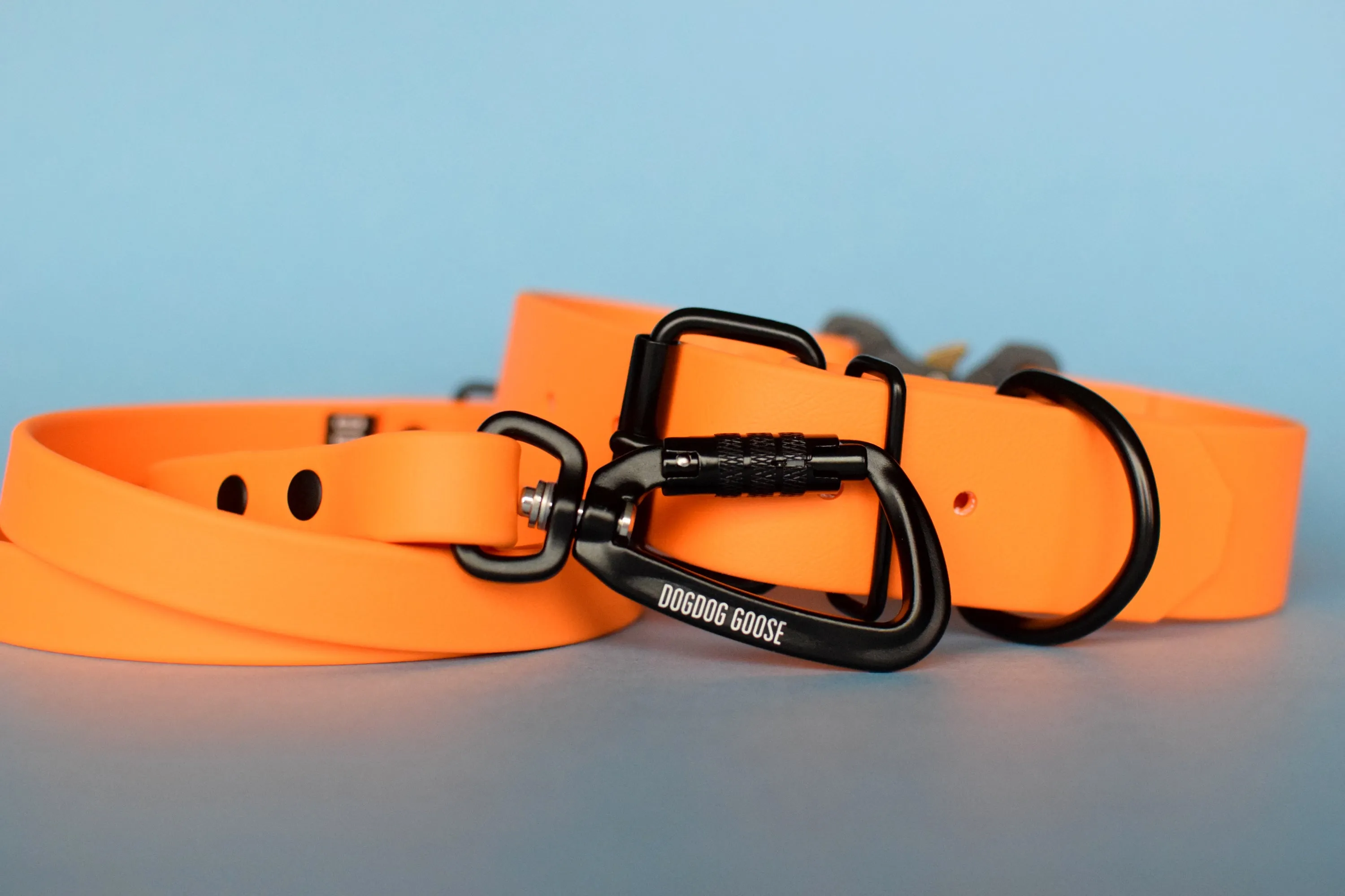 PREMADE COLLECTION - Mango & Black Biothane Dog Collar