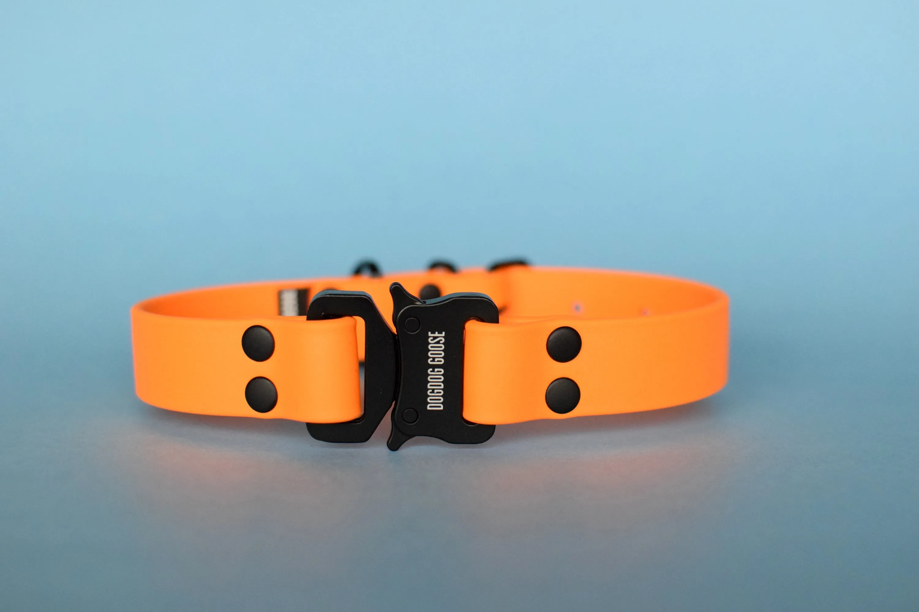 PREMADE COLLECTION - Mango & Black Biothane Dog Collar