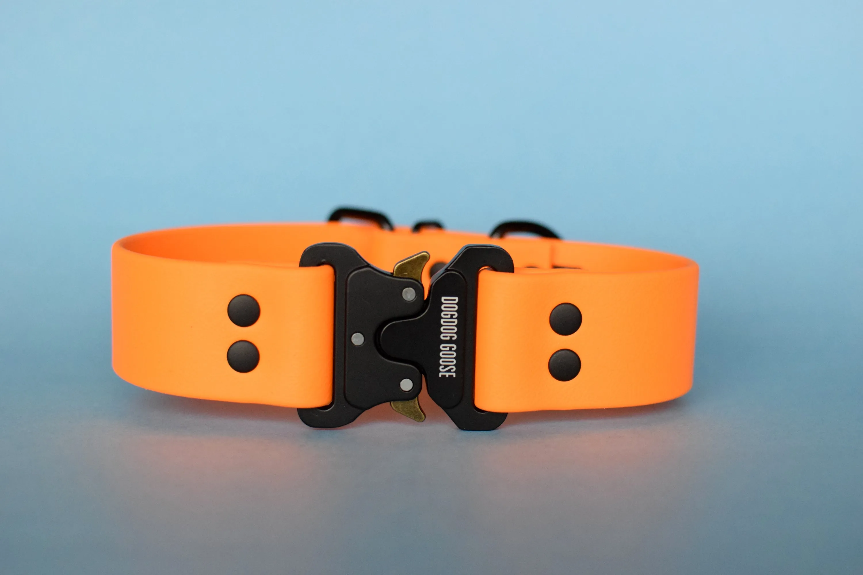PREMADE COLLECTION - Mango & Black Biothane Dog Collar