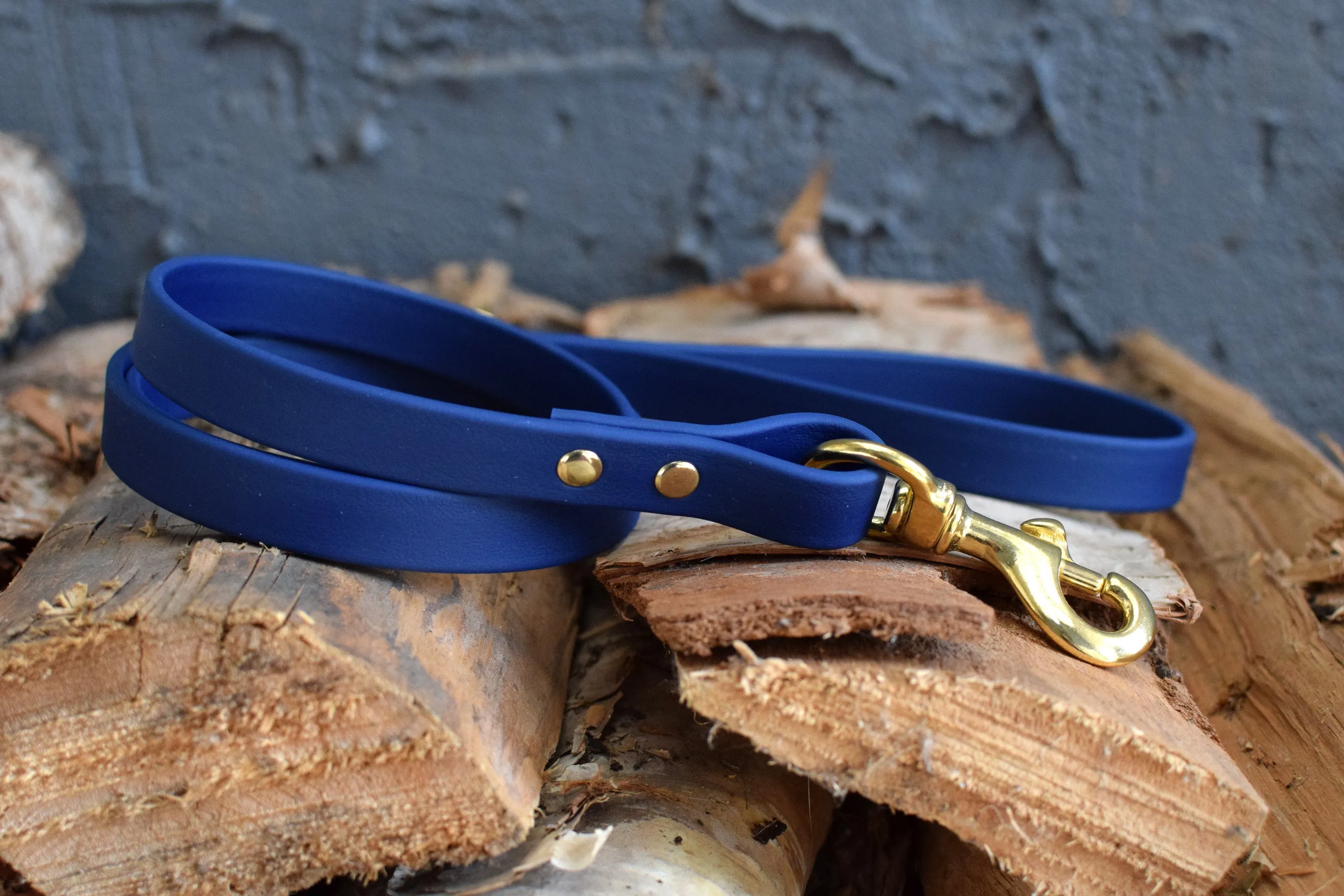 PREMADE COLLECTION - Navy & Brass Biothane Dog Leash