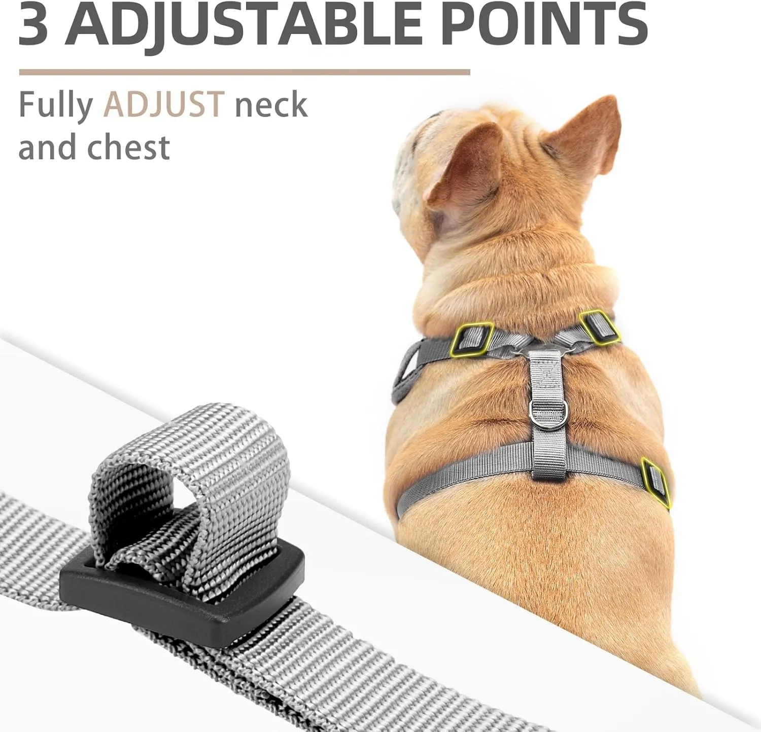 PUPTECK Small Dog Harness and Leash Set, No Pull Adjustable Puppy Cat Harness, Reflective Soft Mesh Pet Vest Small Sized