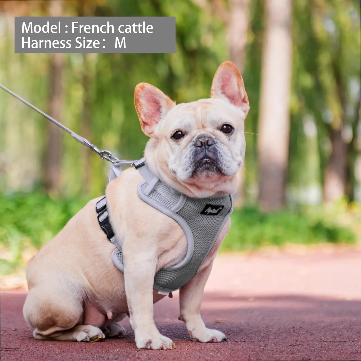 PUPTECK Small Dog Harness and Leash Set, No Pull Adjustable Puppy Cat Harness, Reflective Soft Mesh Pet Vest Small Sized
