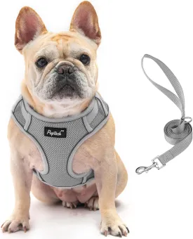 PUPTECK Small Dog Harness and Leash Set, No Pull Adjustable Puppy Cat Harness, Reflective Soft Mesh Pet Vest Small Sized