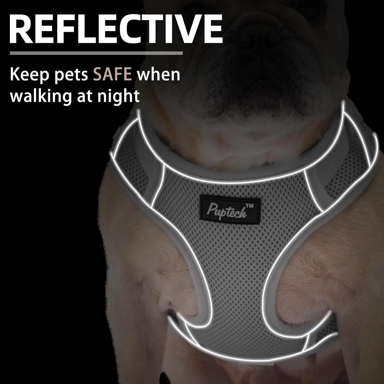 PUPTECK Small Dog Harness and Leash Set, No Pull Adjustable Puppy Cat Harness, Reflective Soft Mesh Pet Vest Small Sized