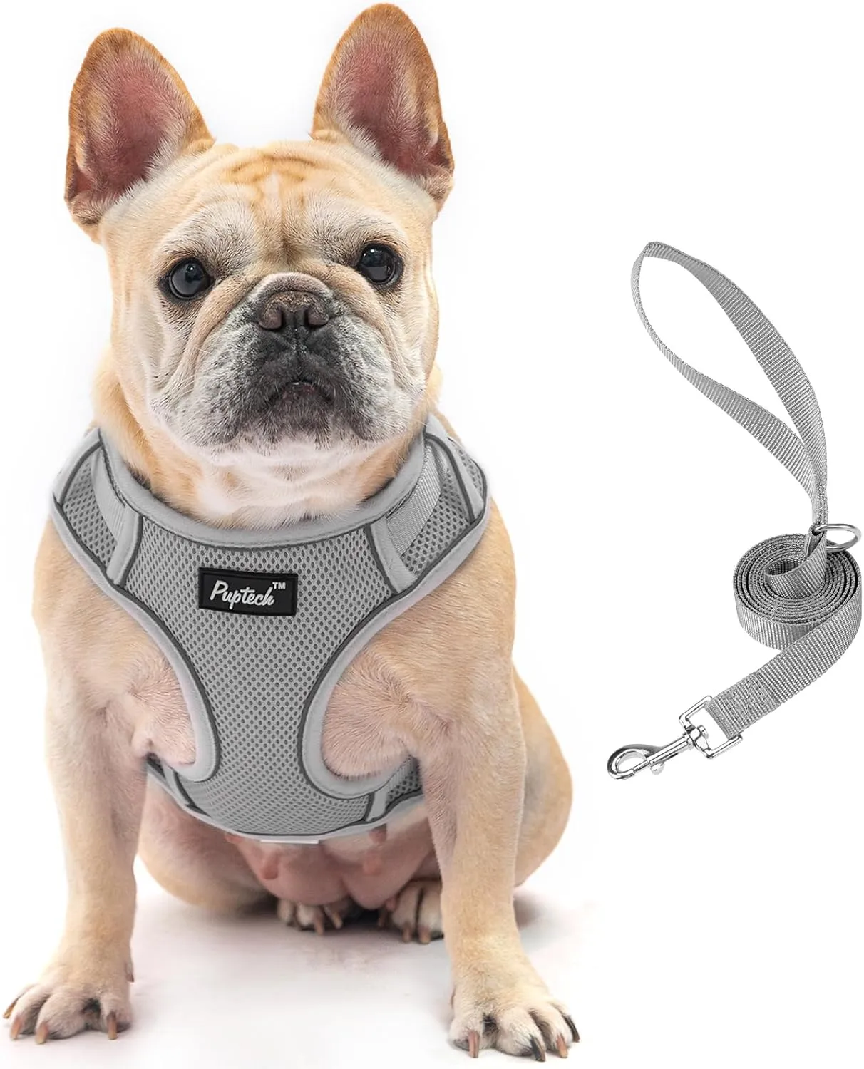PUPTECK Small Dog Harness and Leash Set, No Pull Adjustable Puppy Cat Harness, Reflective Soft Mesh Pet Vest Small Sized