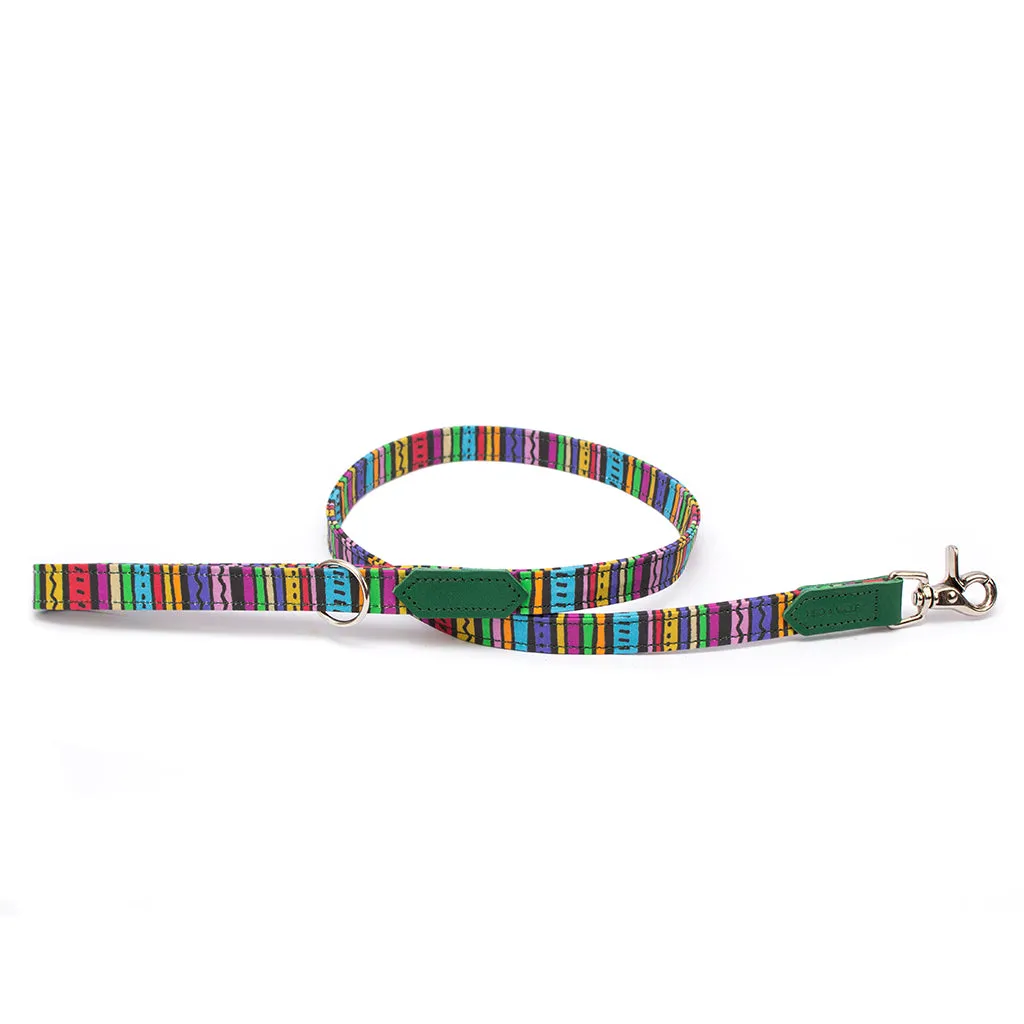 Rainbow Stripe Classic Dog Lead