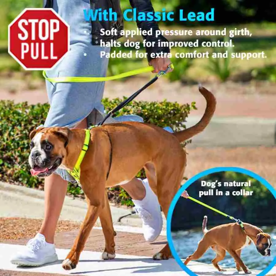 Rogz Control Stop-Pull Harness Red