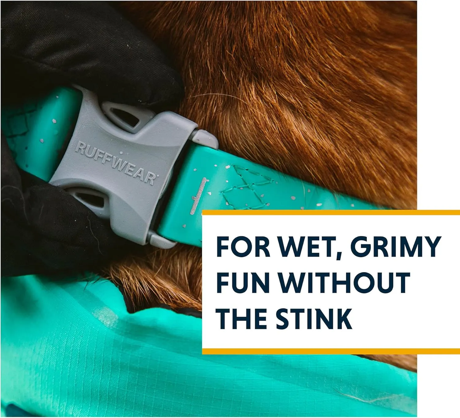 Ruffwear, Confluence Dog Collar, Waterproof and Stink Resistant, Aurora Teal, 20"-26"