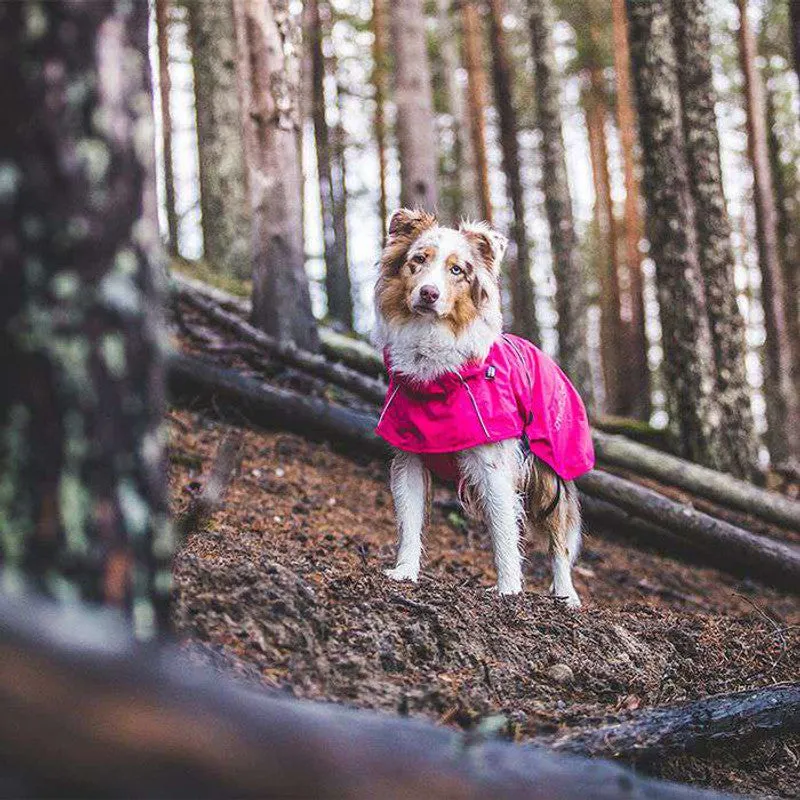 Rukka Hase Rain Jacket for Dogs