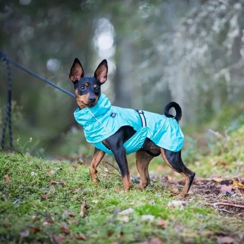Rukka Hase Rain Jacket for Dogs