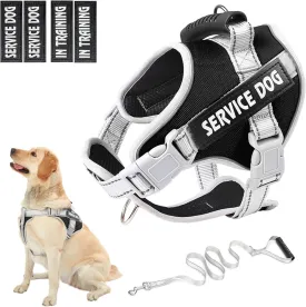 Service Dog Vest Harness, No Pull in Trainning Dog Harnesses with Handle & 5ft Dog Leash, Adjustable and Reflective No Chock for Small Medum Large Pets Walking and Running(Black, M)
