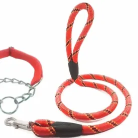 Snake Skin Pattern Puppy Harness with Leash