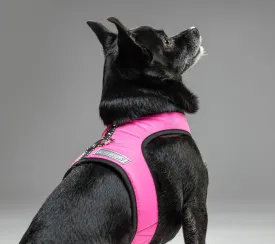Solid Nylon  XXXS Teacup Dog Harness Vest 2 LBS to 8 LBS