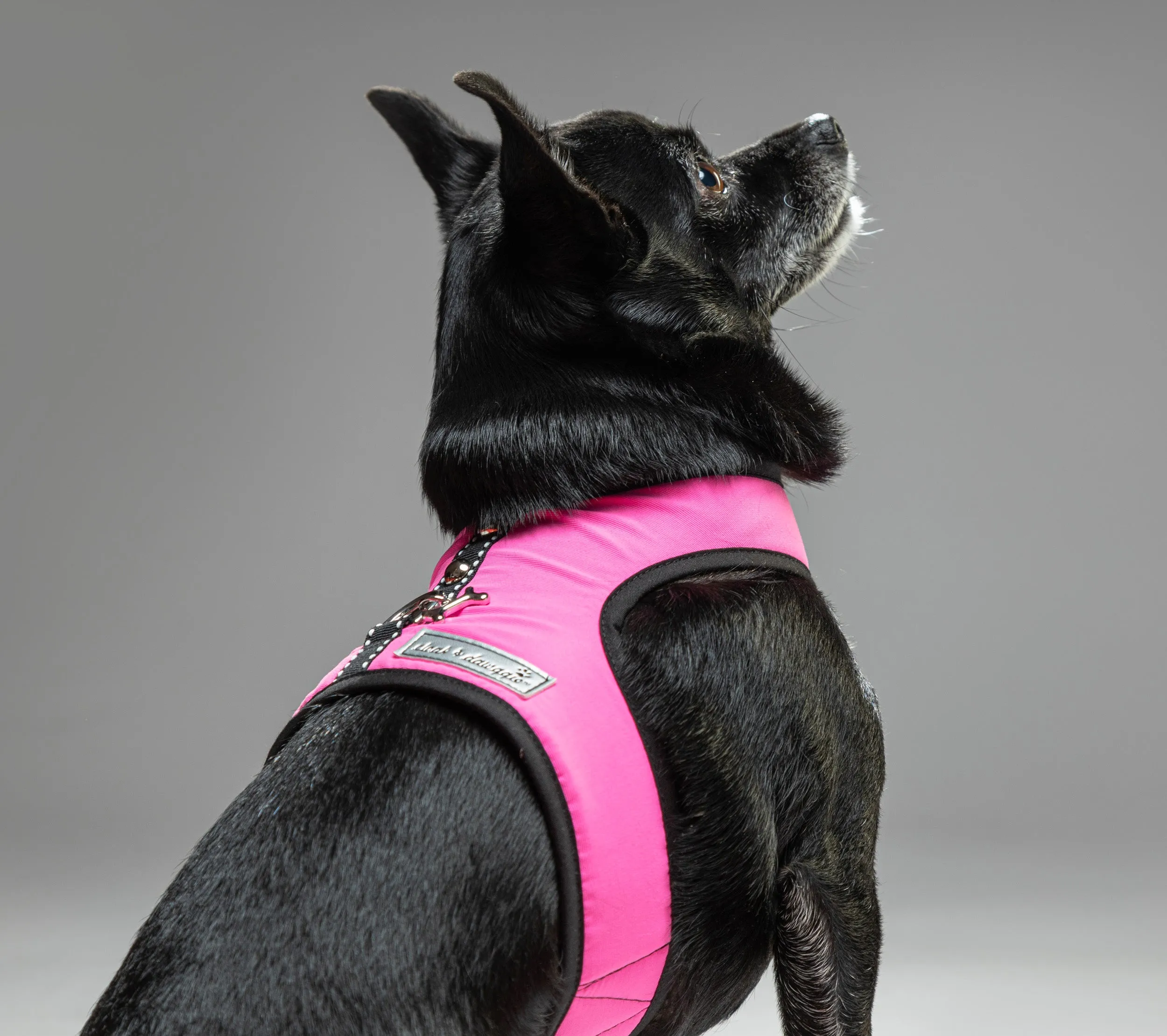 Solid Nylon  XXXS Teacup Dog Harness Vest 2 LBS to 8 LBS