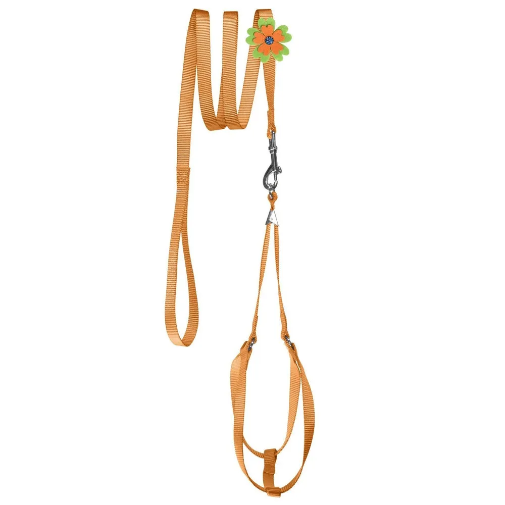 Step-In Nylon Harness   Optional Flower Leash