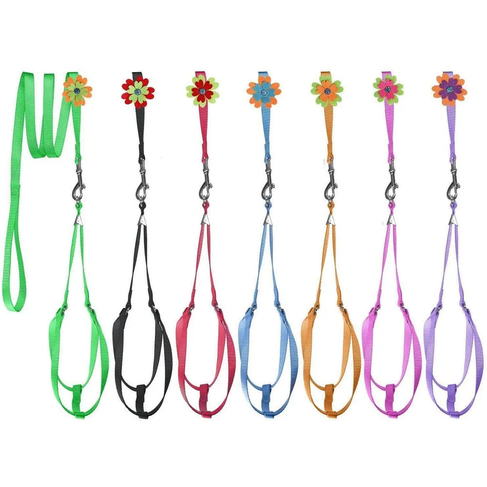 Step-In Nylon Harness   Optional Flower Leash