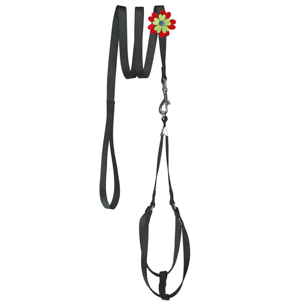 Step-In Nylon Harness   Optional Flower Leash