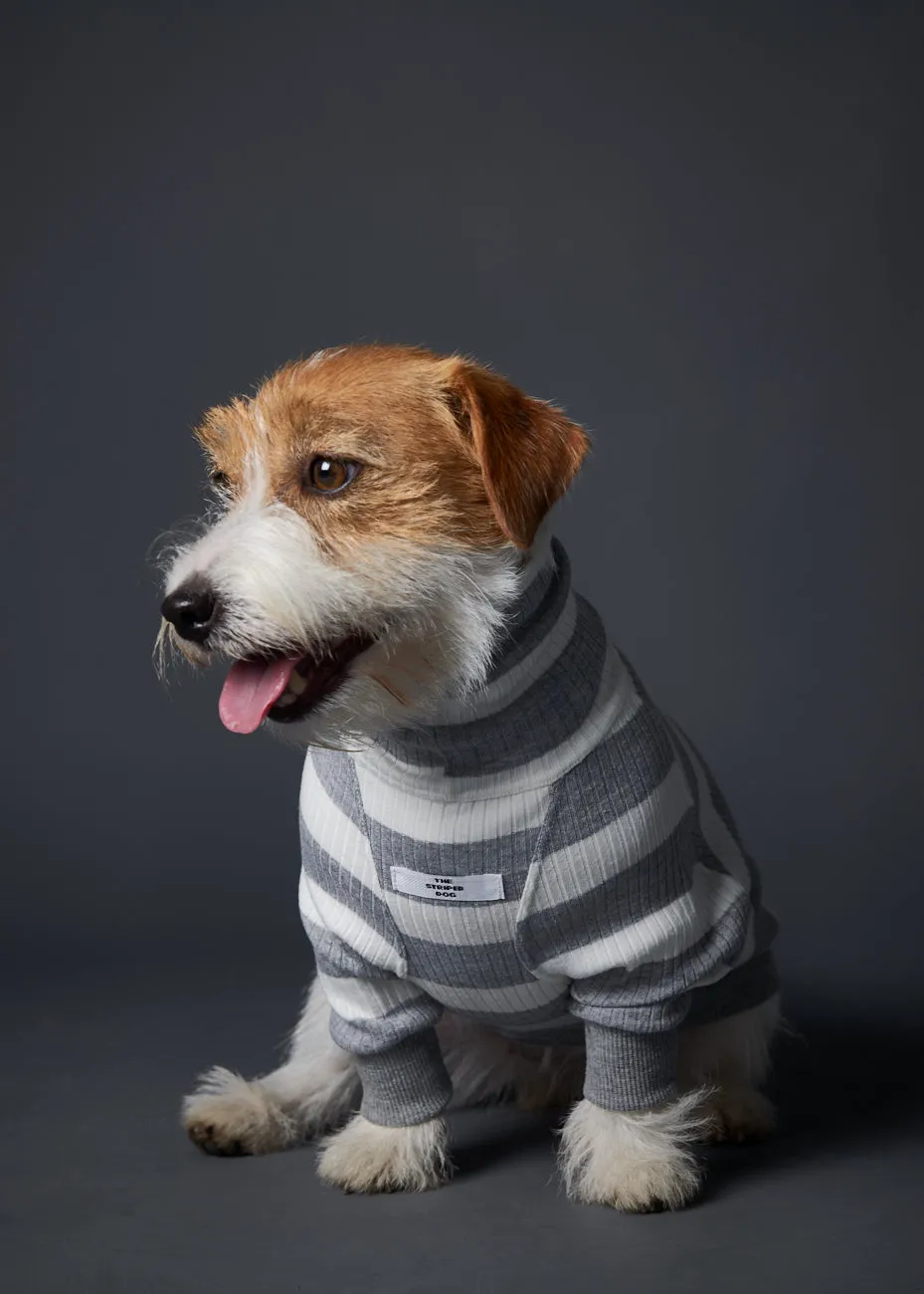 Striped Turtleneck Sweater BREA