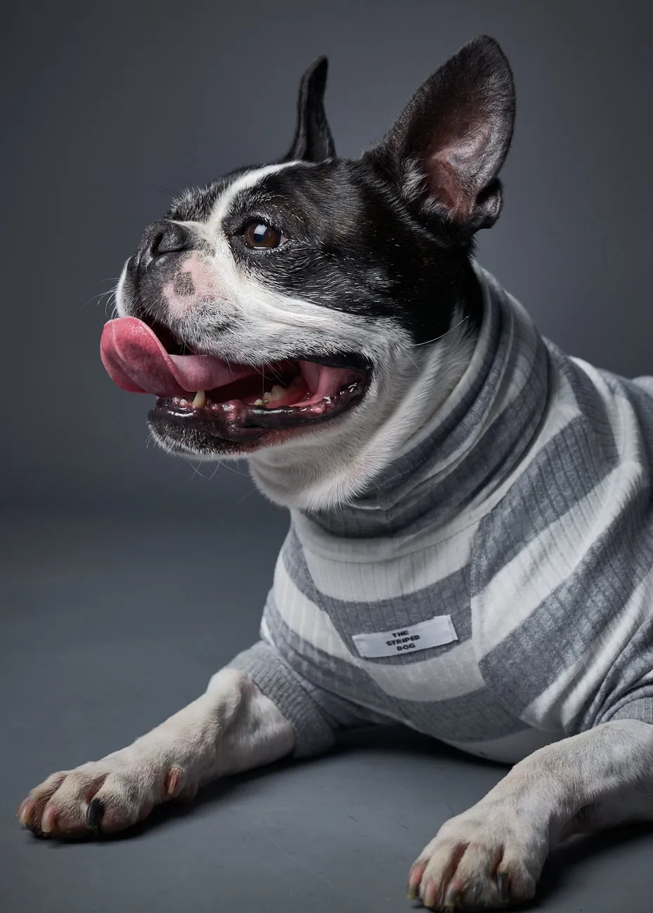 Striped Turtleneck Sweater BREA