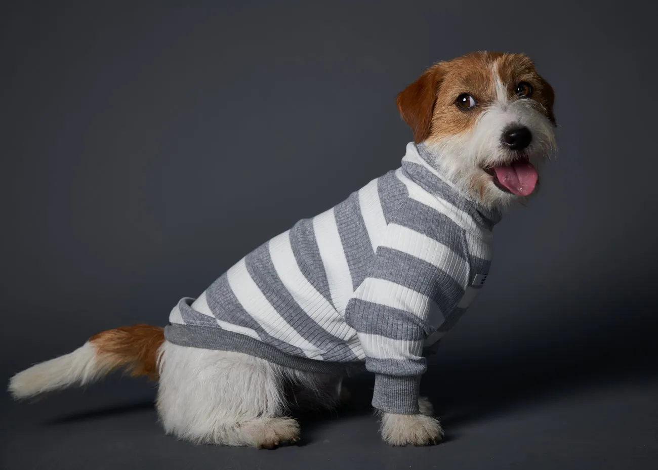 Striped Turtleneck Sweater BREA