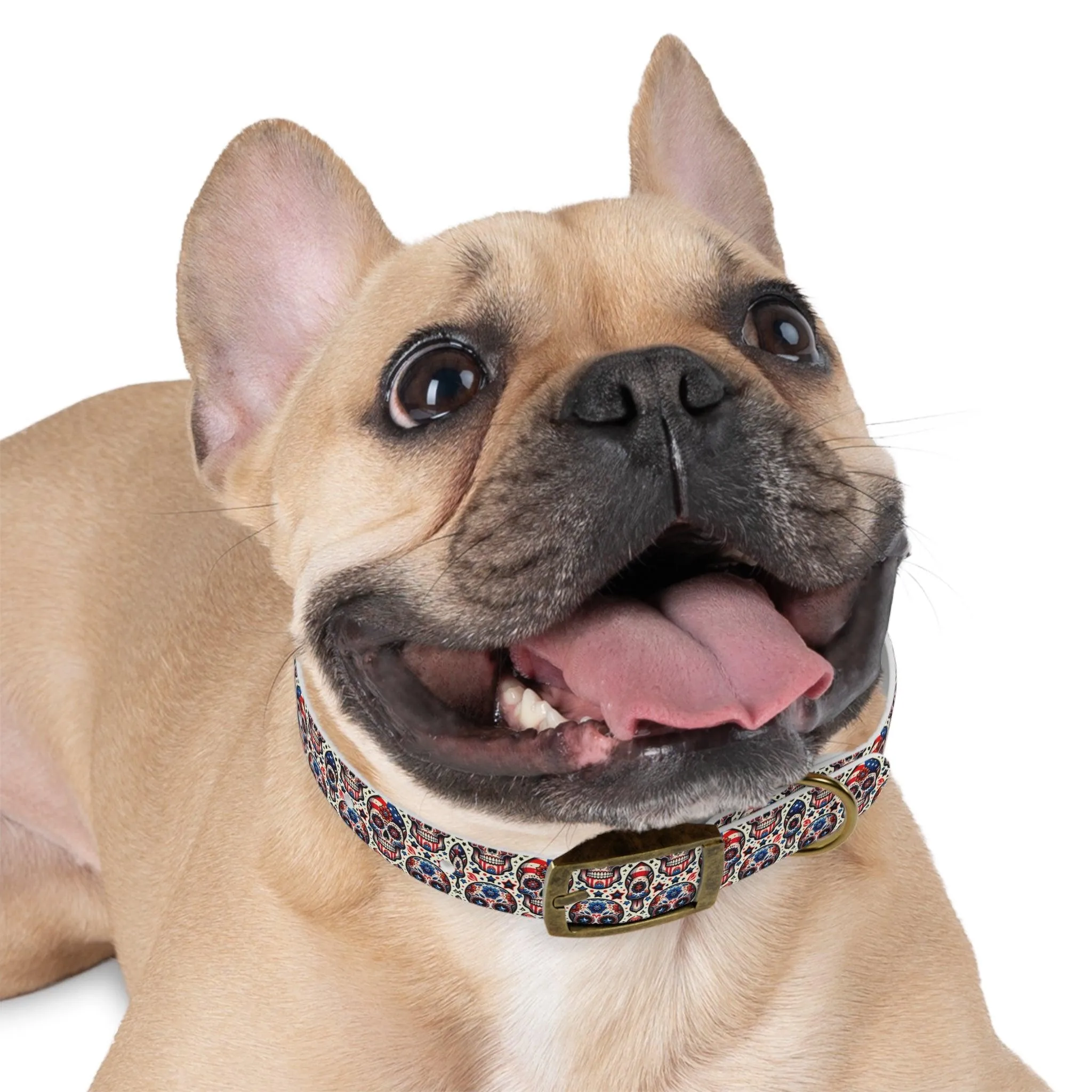 Sweet Sugar Bones Dog Collar
