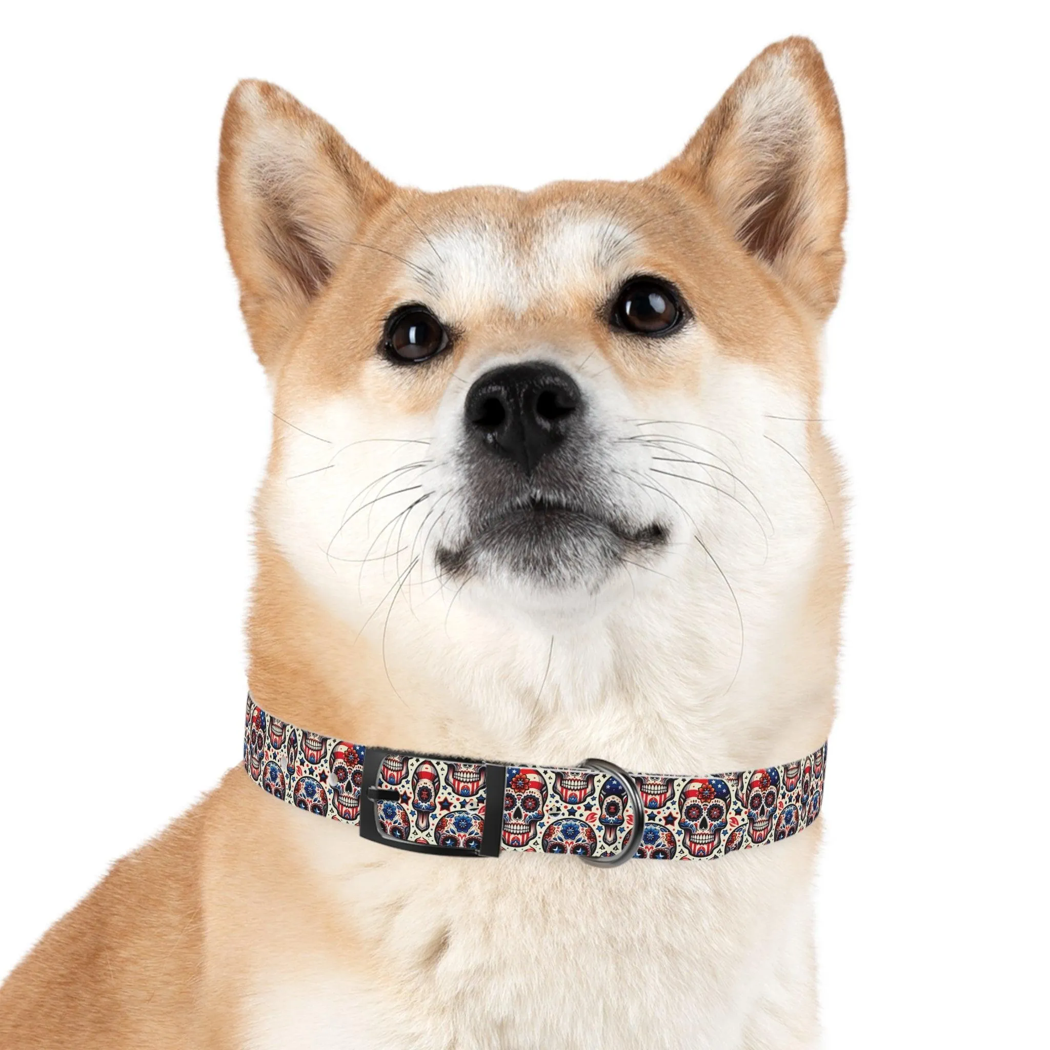 Sweet Sugar Bones Dog Collar