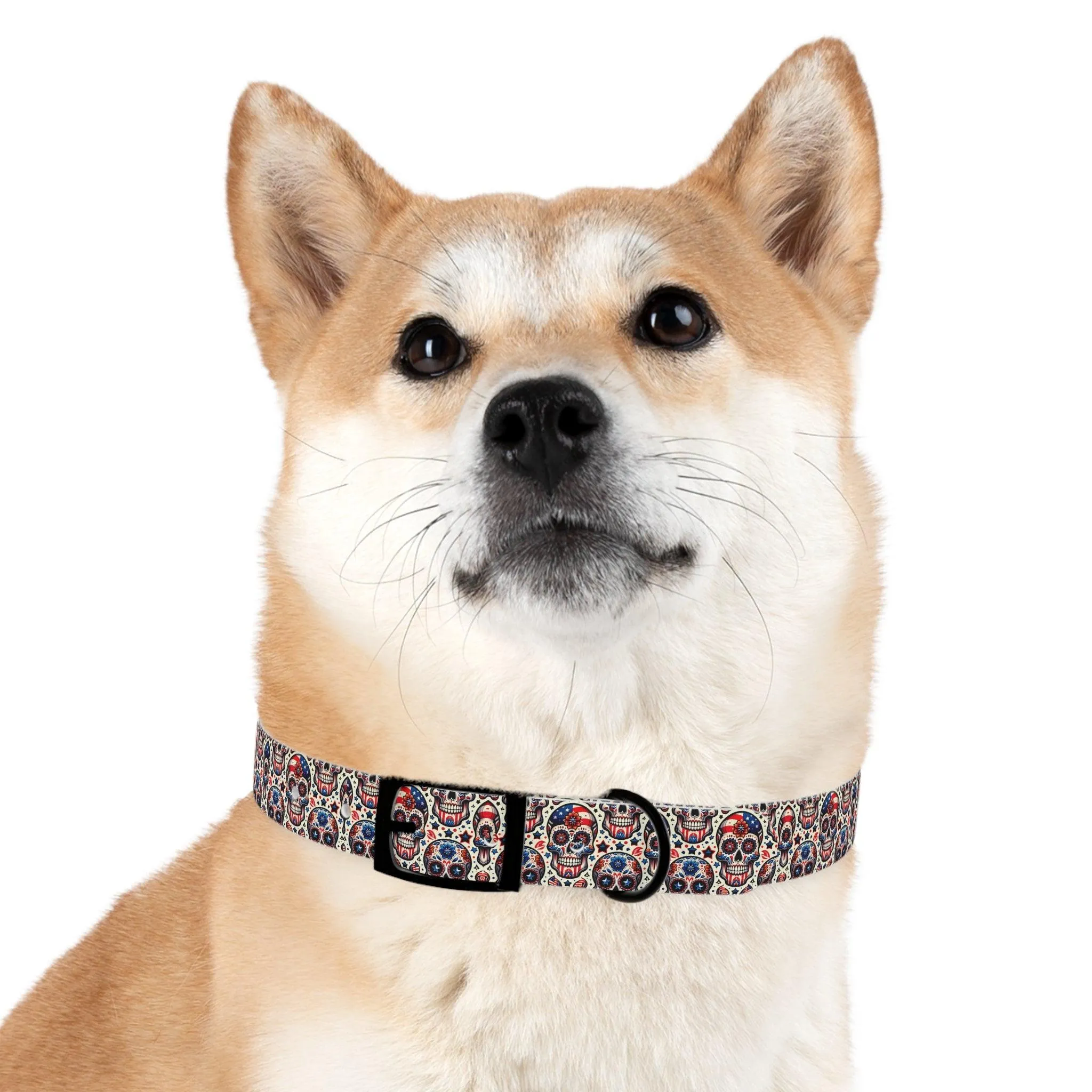 Sweet Sugar Bones Dog Collar