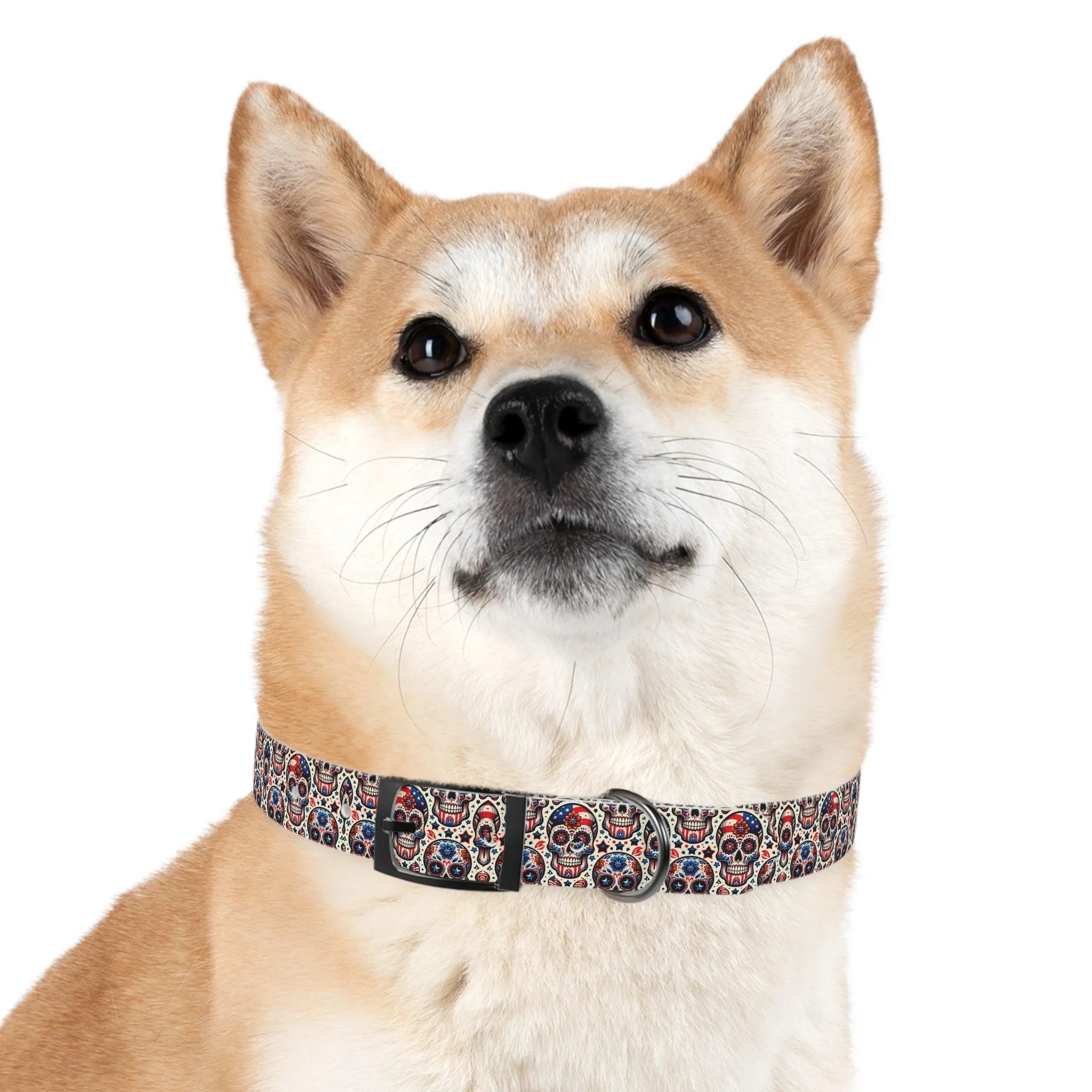Sweet Sugar Bones Dog Collar