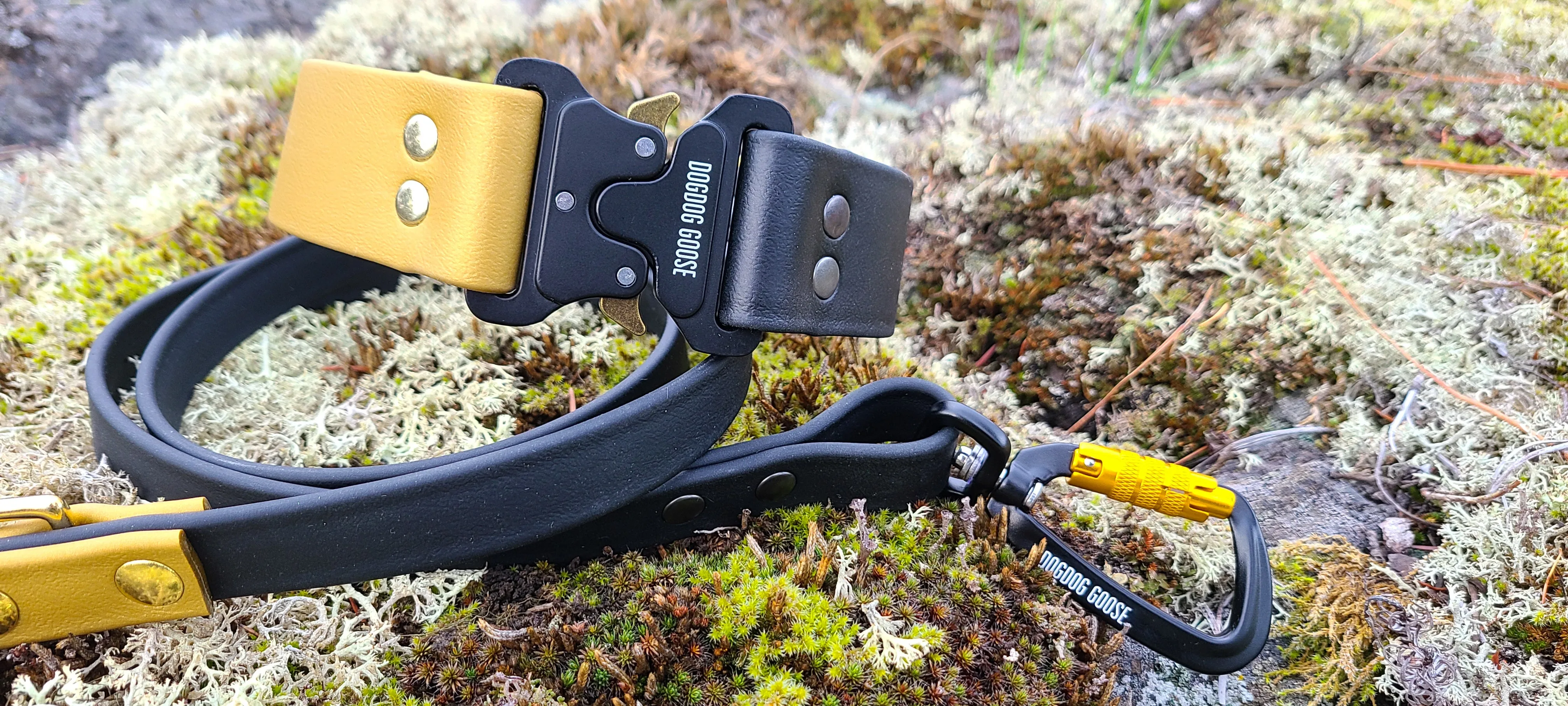 TORO COLLECTION - Black & Gold Biothane Dog Leash