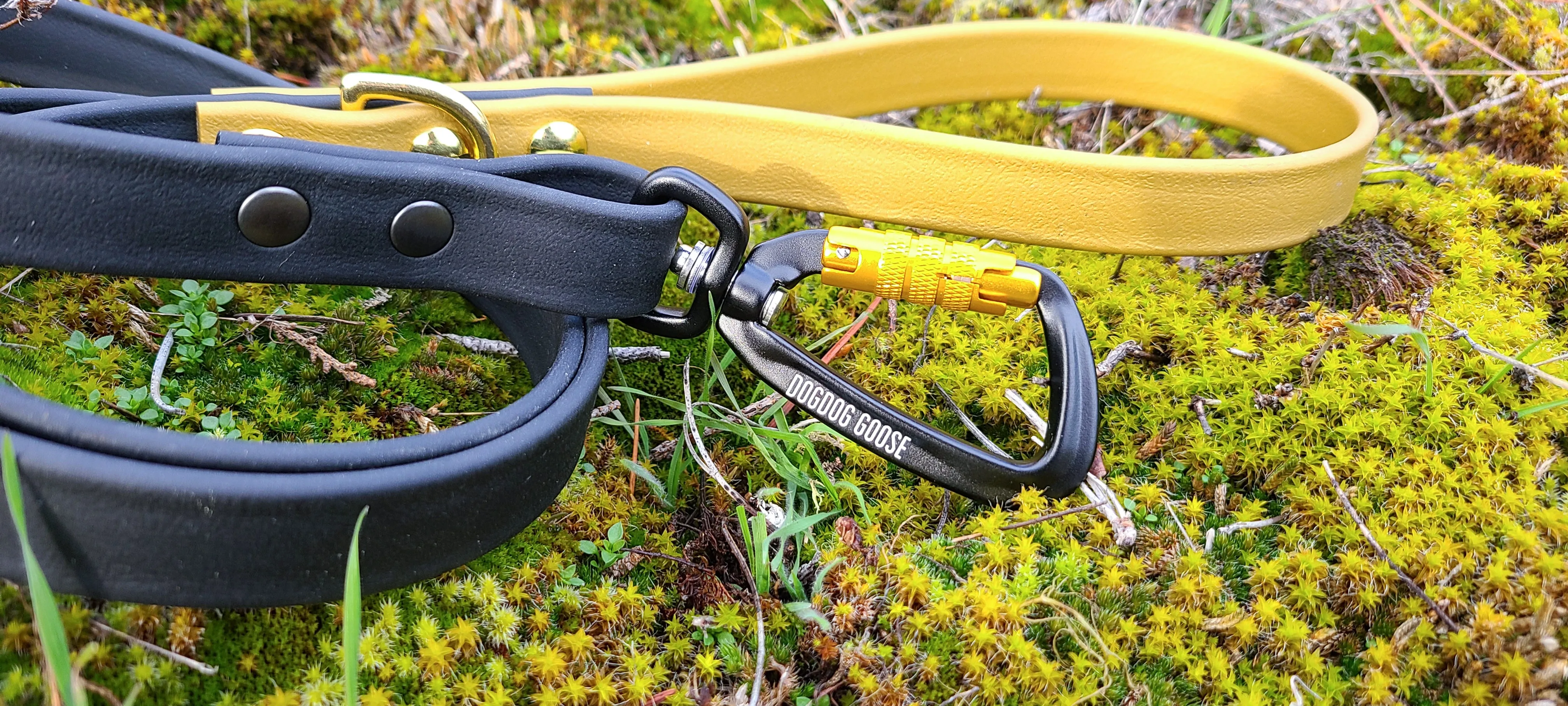 TORO COLLECTION - Black & Gold Biothane Dog Leash