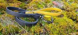 TORO COLLECTION - Black & Gold Biothane Dog Leash
