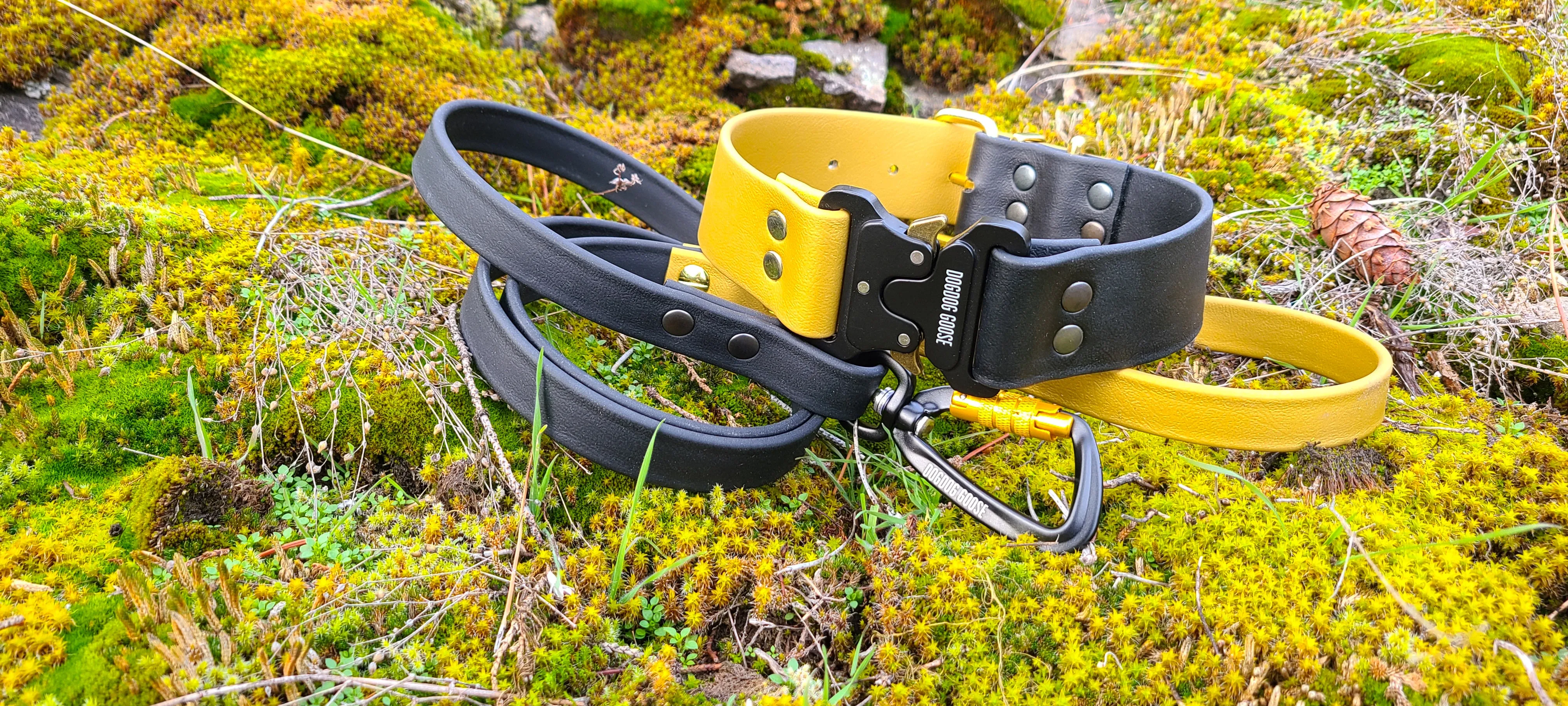 TORO COLLECTION - Black & Gold Biothane Dog Leash