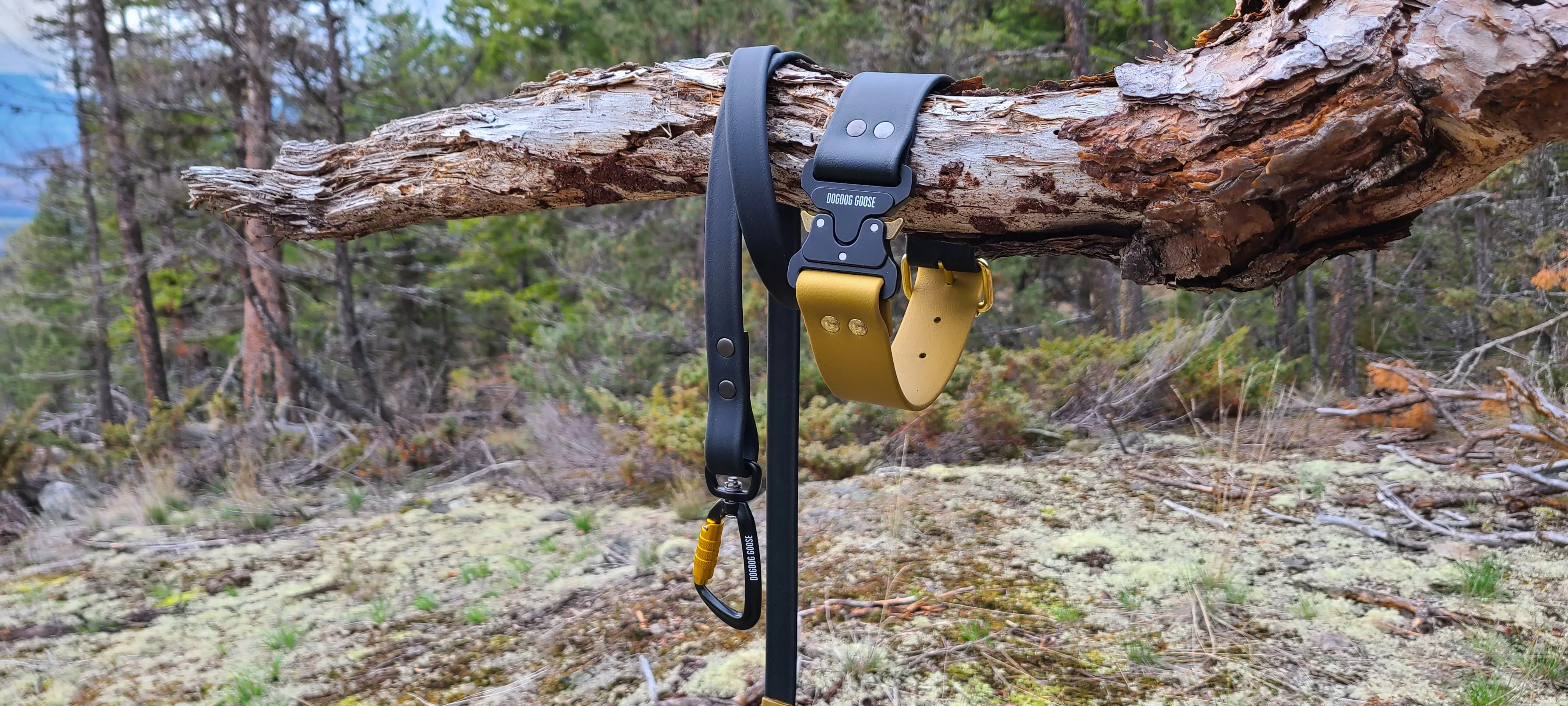 TORO COLLECTION - Black & Gold Biothane Dog Leash